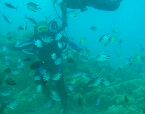 Snorkelling and Scuba Diving Sri Lanka