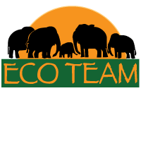 Eco Team Logo