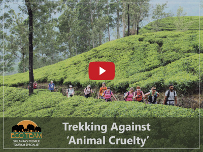 Trekking Against Animal Cruelty.jpg