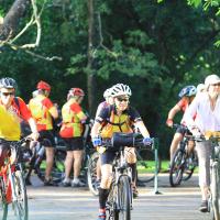 Cycling Tours 4day