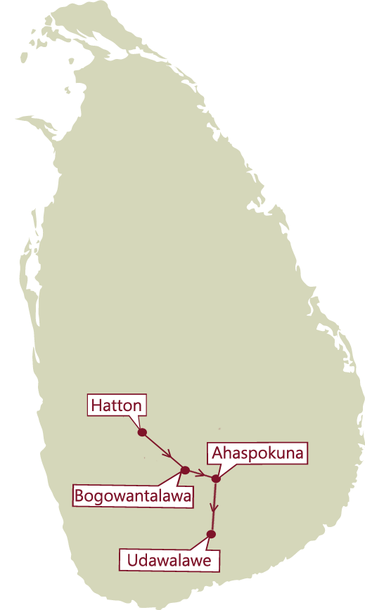 Direction map 