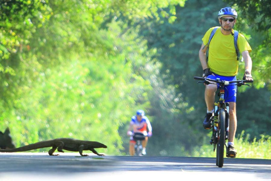 A man getting their cycling experience in Sri Lanka 