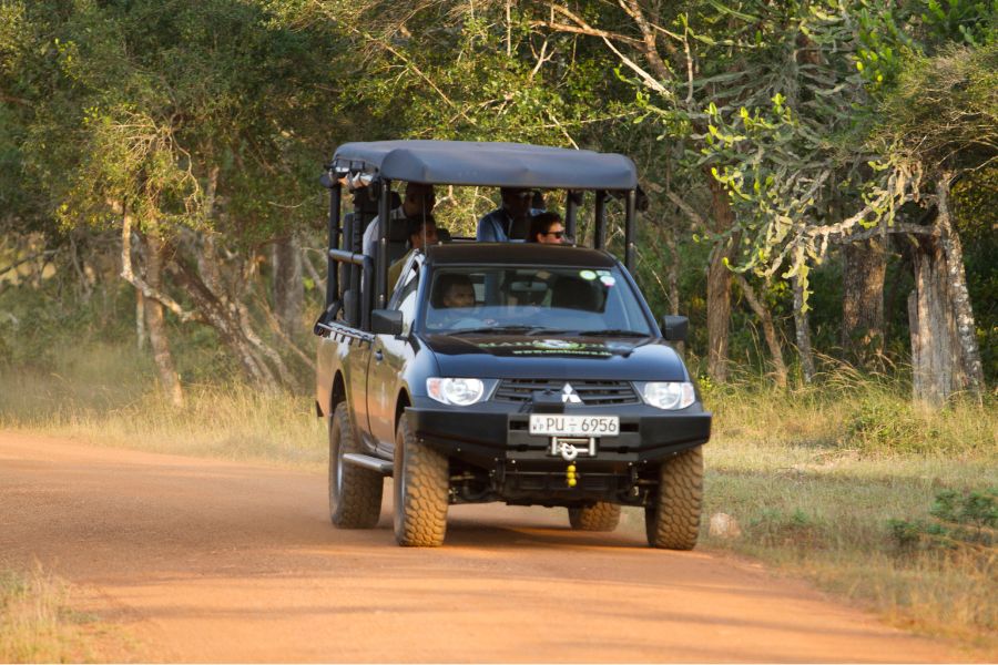 Jeep safari at Wilpattu national park in Sri Lanka 