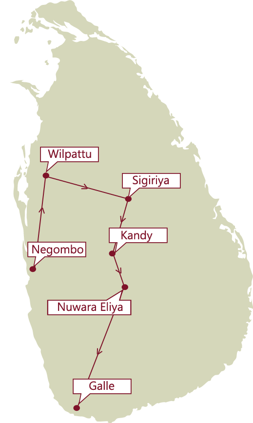 Direction Map