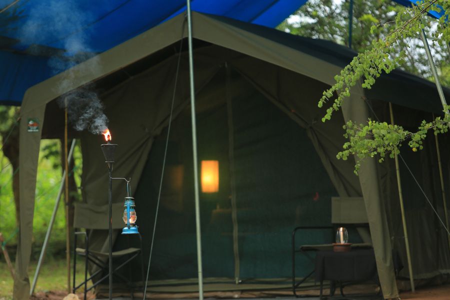 Big game tented camps at Wilpattu in Sri Lanka 