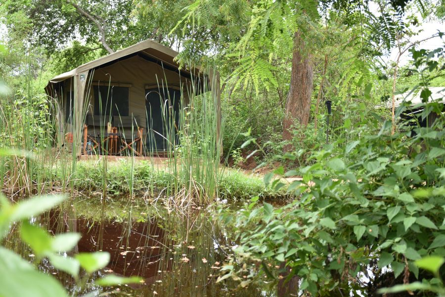 Big game tented camps in Sri Lanka 