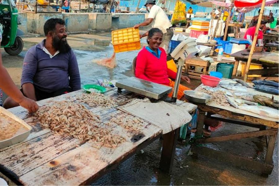 Selling fish at Negombo in Sri Lanka 