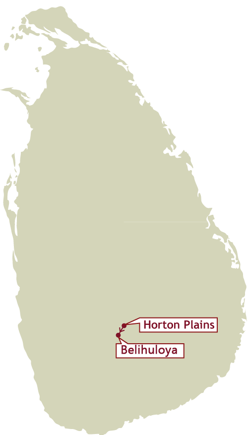 adventure-trekking-and-hiking-horton-plains---belihuloya-tour1-2days-new.png
