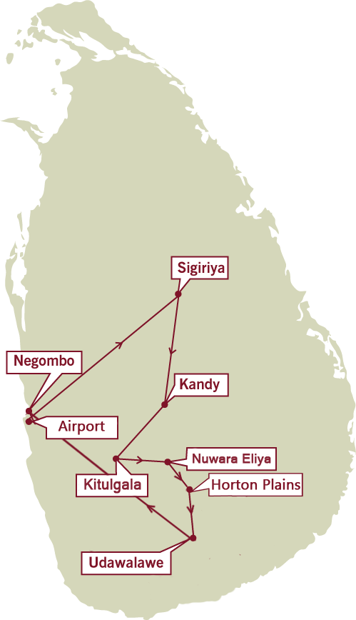 birding_10days-new-2.png