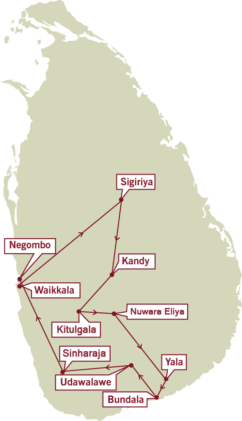 birding_14days-2.png