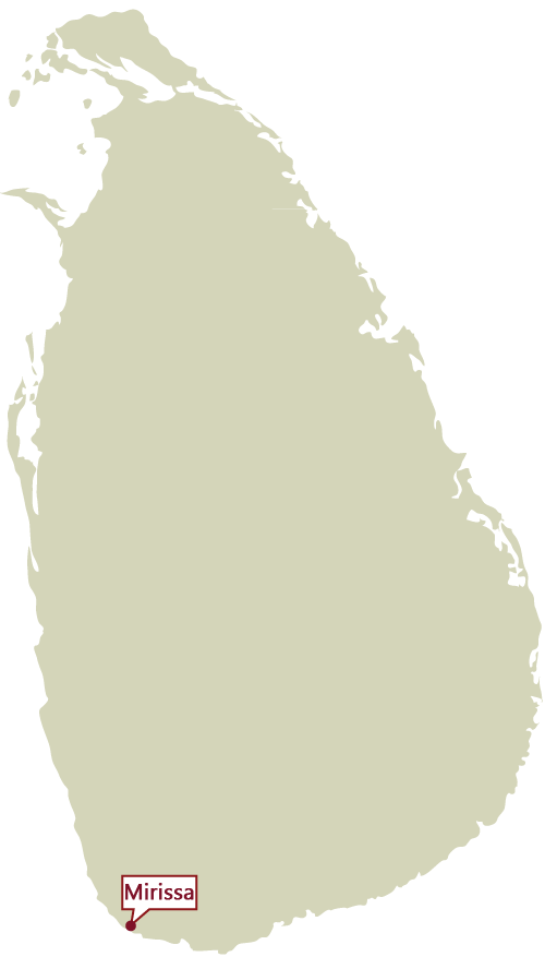 mirissa.png