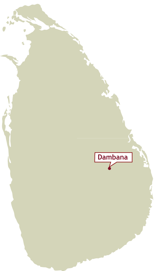 village-of-indigenous-people-2-days.png