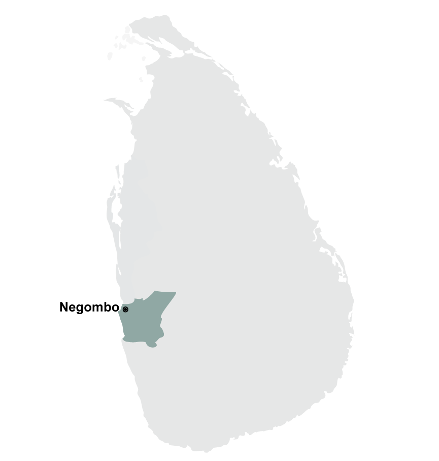 negombo.png