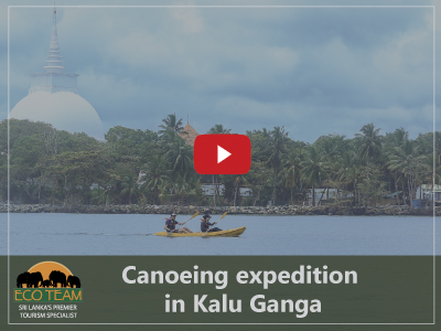 Canoeing expedition in Kalu Ganga.jpg