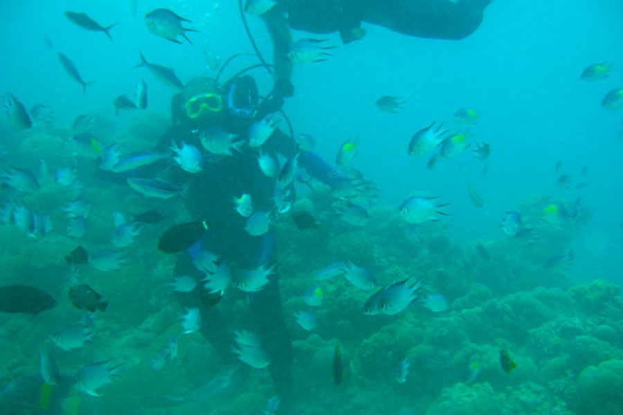 Snorkelling and Scuba Diving Sri Lanka