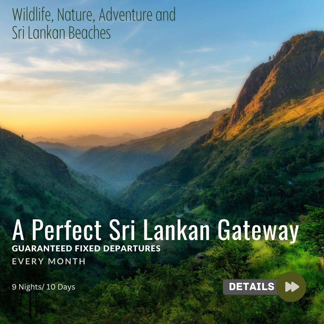 a perfect sri lankan gateaway