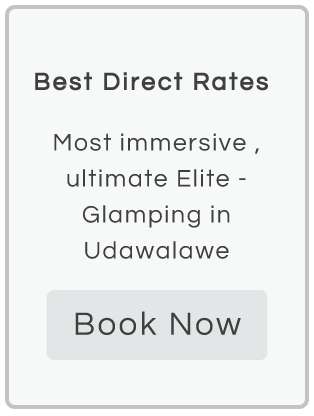 elite glamping udawalawe
