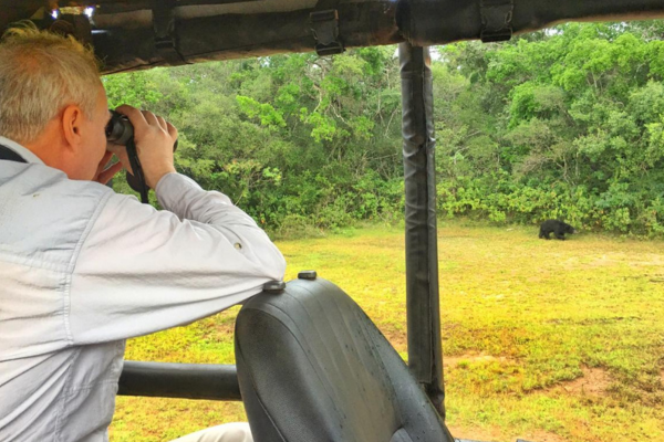 safari jeep at wilpattu client is looking at a sloth bear